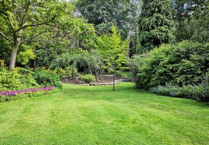 Optimiser l'expérience du jardin à Saint-Beaulize